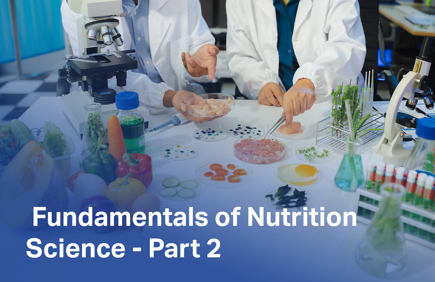 Fundamentals of Nutrition Science - Part 2